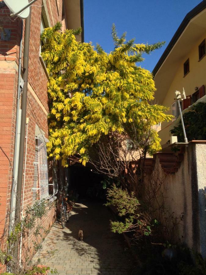 维亚雷焦Casa Mimosa公寓 外观 照片
